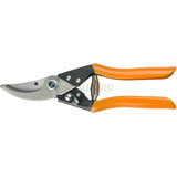 Pruning Shear