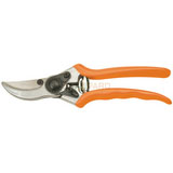 Pruning Shear