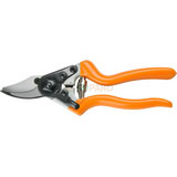 Pruning Shear