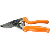 Pruning Shear