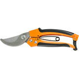 Pruning Shear