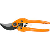 Pruning Shear