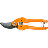 Pruning Shear