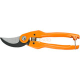 Pruning Shear