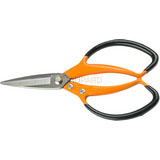 Pruning Shear