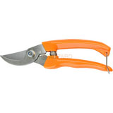 Pruning Shear