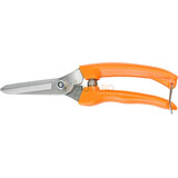 Pruning Shear