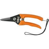 Pruning Shear