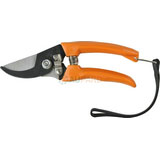 Pruning Shear