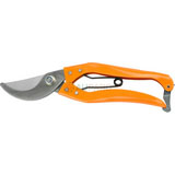 Pruning Shear